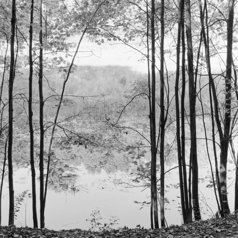 C major Prelude, Moreau Lake, New York 2011 - Preludes and Fugues, 2013