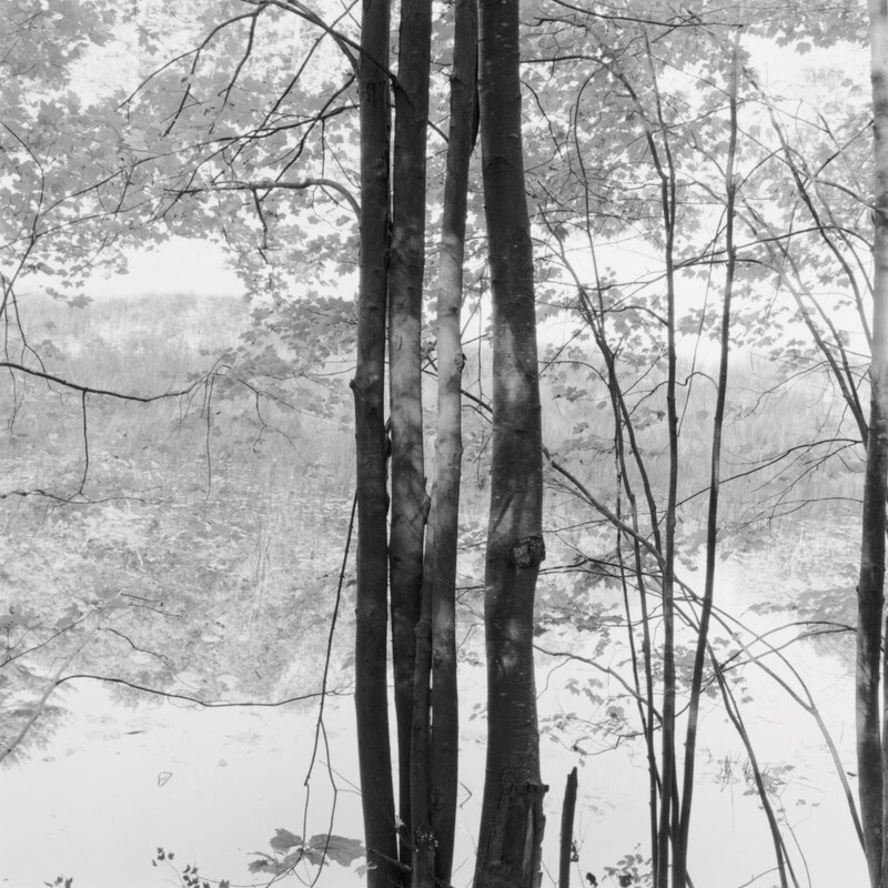 C major Fugue, Moreau Lake, New York 2011 - Preludes and Fugues, 2013