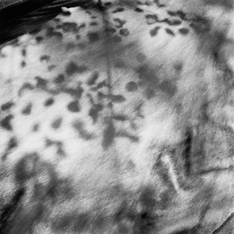 Penn Roosevelt Sluiceway, Pennsylvania, 2017 - New Work, 2016-2024