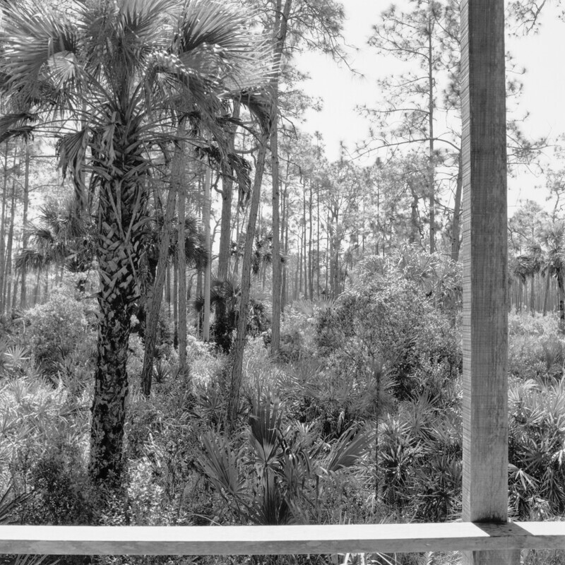 Corkscrew Swamp Sanctuary 2010 - Corkscrew, 2013