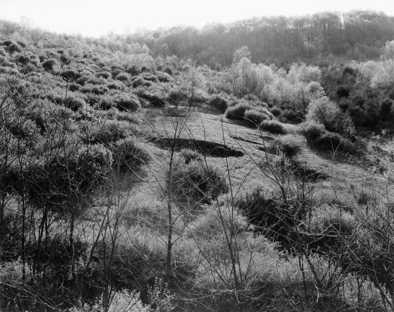 Sink Hole, Pleasant Valley, Pennsylvania 1982 - Landscapes, 1975-1986