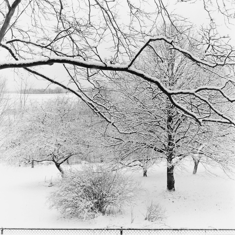Wintr Morning, Pennsylvania, 2025 - New Work, 2016-2024