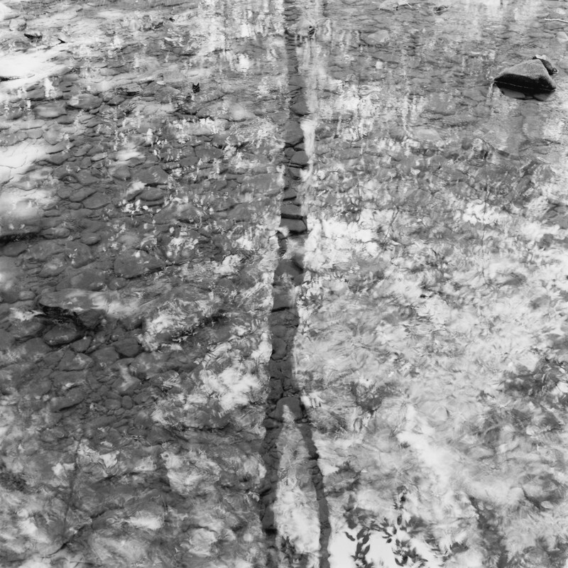 White Oak Run Reflection, Pennsylvania, 2025 - New Work, 2016-2024