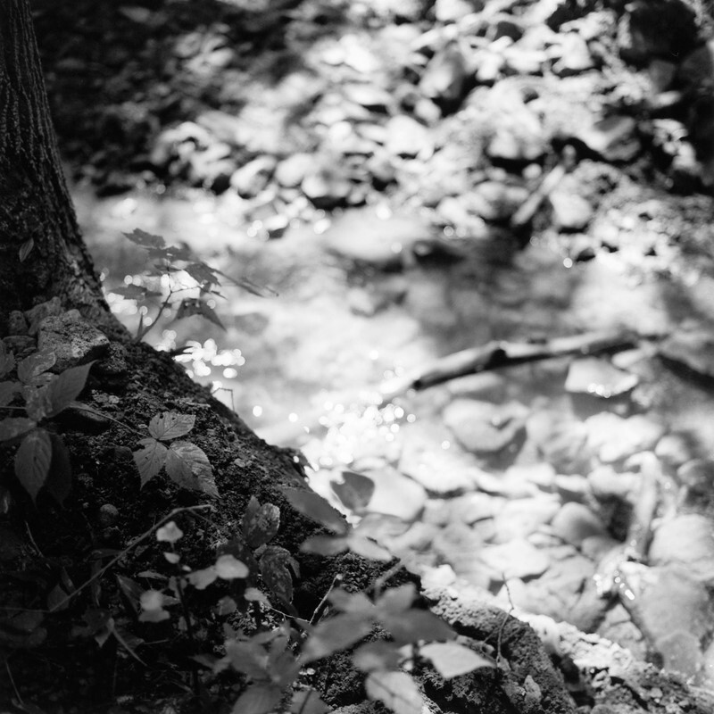 Pine Ridge Park, Indiana County, Pennsylvania, 2019 - New Work, 2016-2024