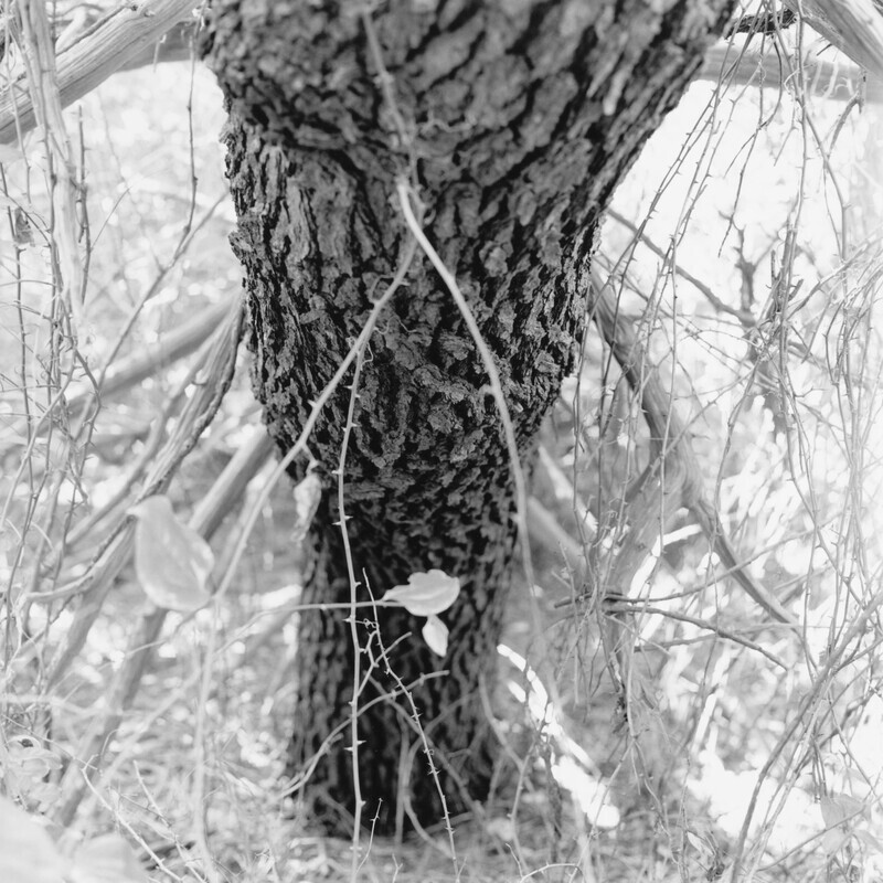 Higbee, New Jersey 2015 - Fragments, 2018