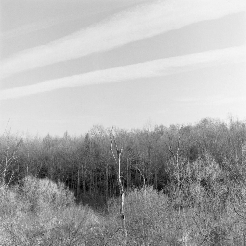 G minor Prelude, Keystone State Park, Pennsylvania 2012 - Preludes and Fugues, 2013