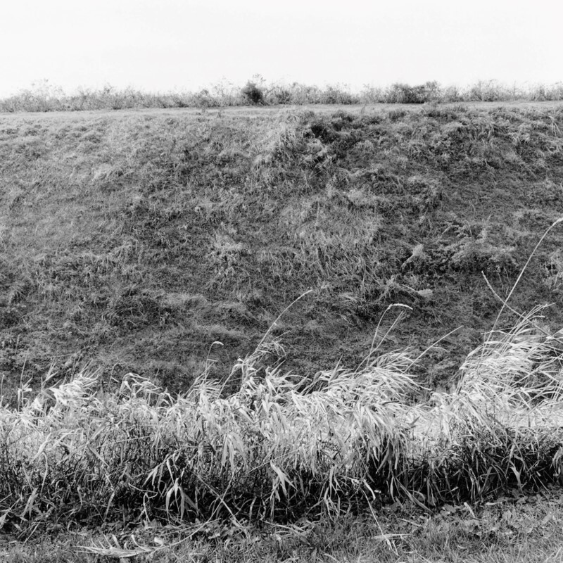 G sharp minor Prelude, Sand Hill Farm, Pennsylvania 2010 - Preludes and Fugues, 2013