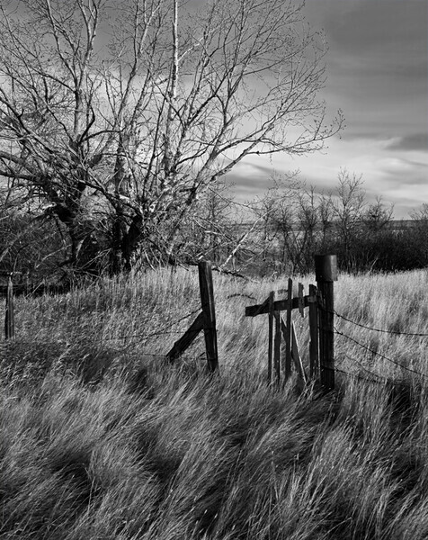 Graham Homestead, Alberta