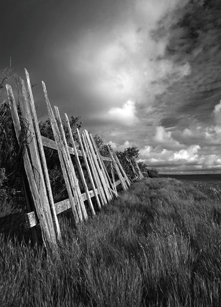 Section 17, Alberta