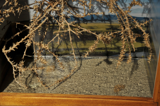  - On Location: TumbleWeed Spirit