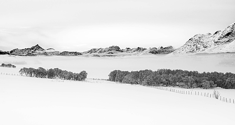 Vintertåke over Vestvågøy - landscape