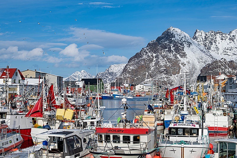 Henningsvær - Places