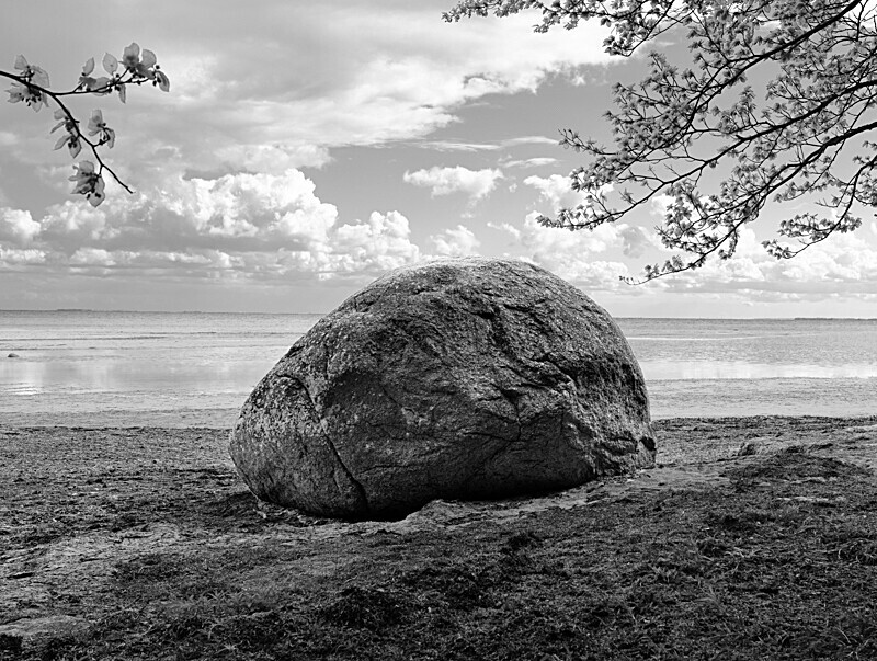 Musestenen, DK - seascape