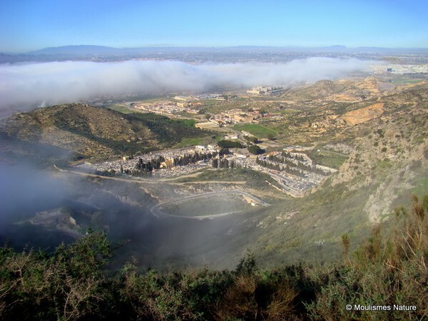 Cartagena - Trip reports - Spain