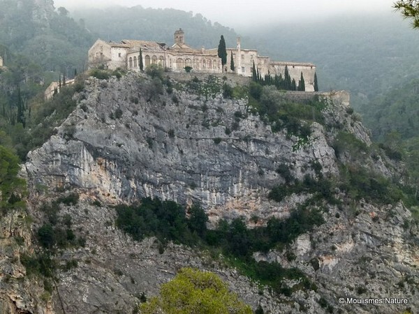 Cardó spa - Trip reports - Spain