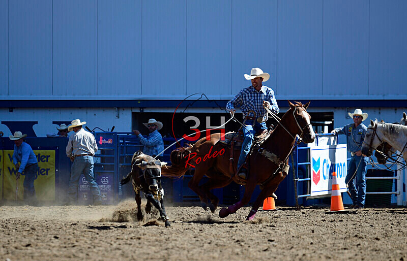 3HRodeo8-11-25_PRCASteer_00954_ - 2025 Colorado Stand Alone Steer Roping-Greeley