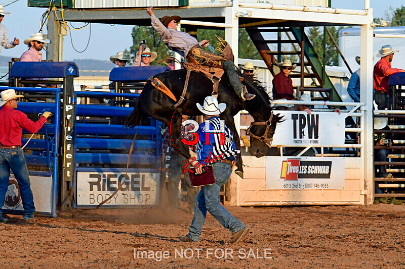 3HRodeo7-12-24_LJD_3HR4160_LJD - PRCA Rodeo - July 12, 2024