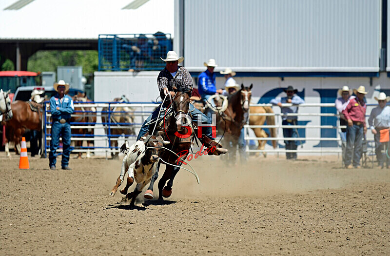3HRodeo8-11-25_PRCASteer_05357_ - 2025 Colorado Stand Alone Steer Roping-Greeley