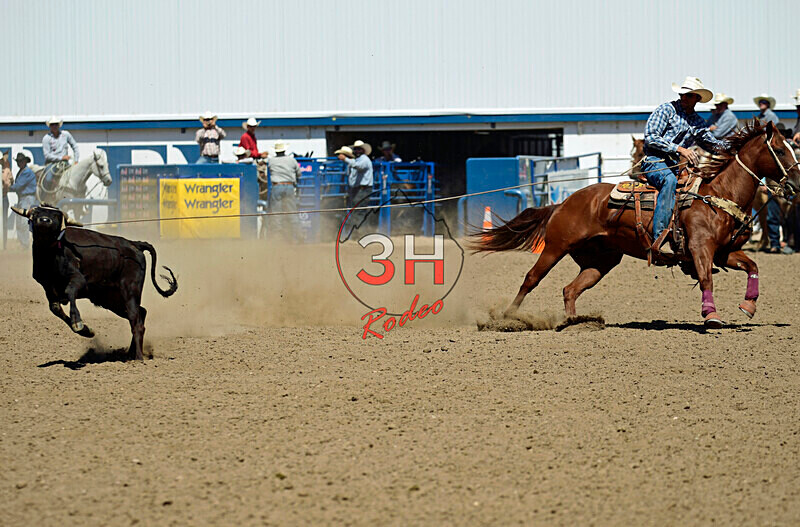3HRodeo8-11-25_PRCASteer_06556_ - 2025 Colorado Stand Alone Steer Roping-Greeley