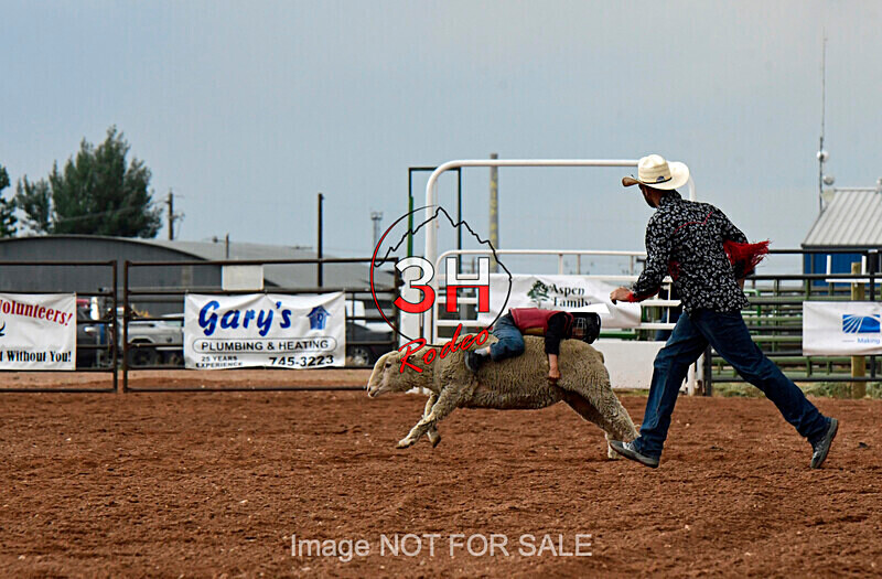 3HRodeo7-10-24_3HR0371_LJD - Jubilee Days Junior Bull Riding