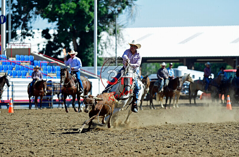 3HRodeo8-11-25_PRCASteer_00344_ - 2025 Colorado Stand Alone Steer Roping-Greeley