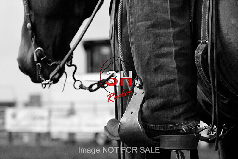 3HRodeo7-10-24_3HR1404_LJD-BlackWhite - Jubilee Days Junior Bull Riding