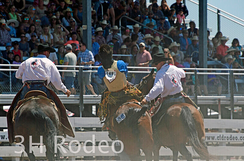 _DSC5675 - CFD Rodeo Performance - July 22nd