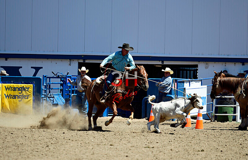 3HRodeo8-11-25_PRCASteer_03656_ - 2025 Colorado Stand Alone Steer Roping-Greeley