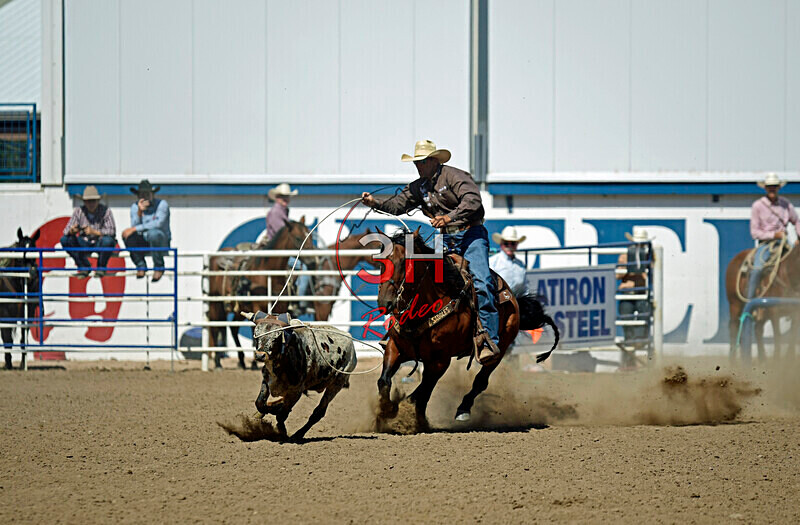 3HRodeo8-11-25_PRCASteer_07781_ - 2025 Colorado Stand Alone Steer Roping-Greeley