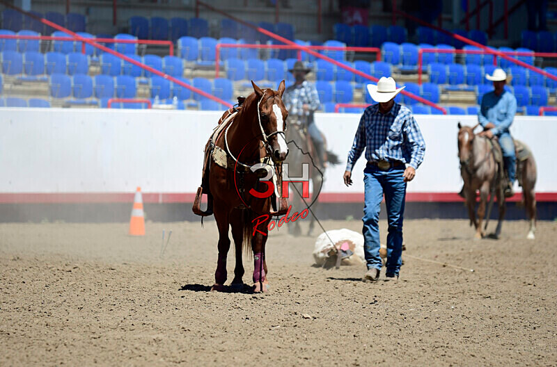 3HRodeo8-11-25_PRCASteer_05111_ - 2025 Colorado Stand Alone Steer Roping-Greeley