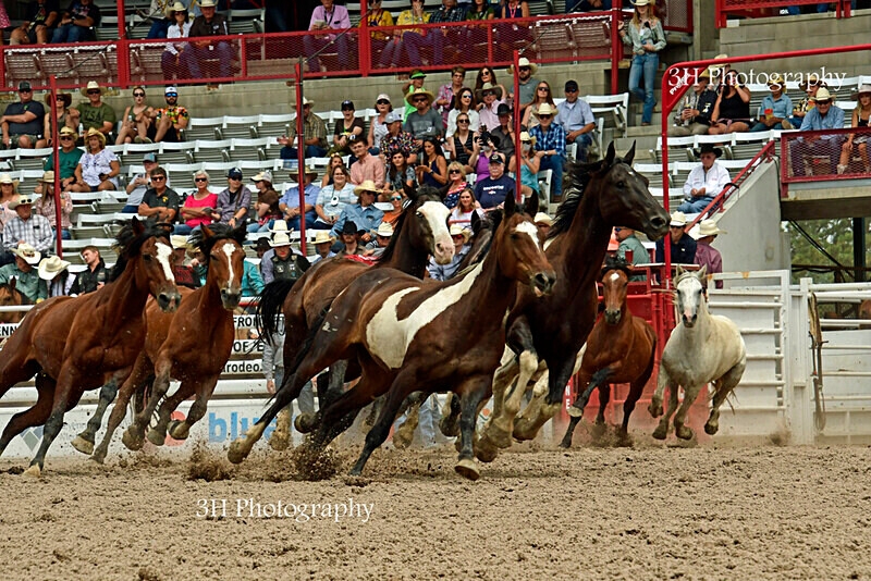 _DSC2775 - 2021 Cheyenne Frontier Days Celebration