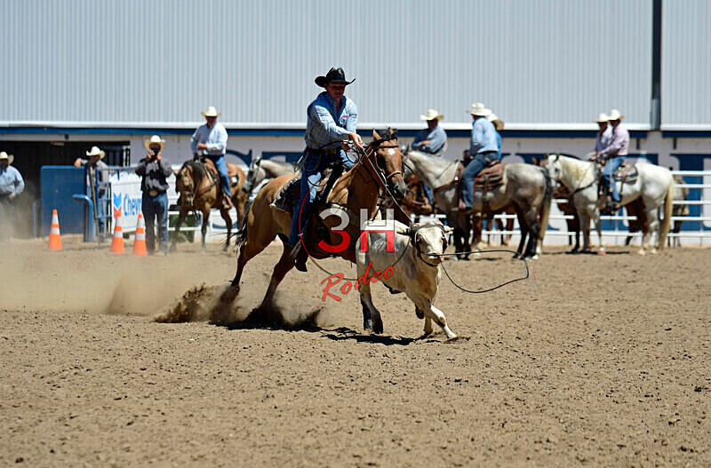 3HRodeo8-11-25_PRCASteer_05139_ - 2025 Colorado Stand Alone Steer Roping-Greeley