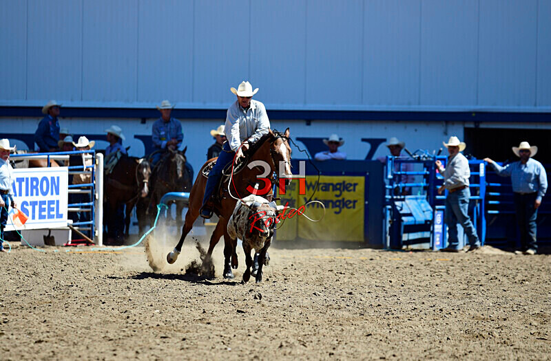3HRodeo8-11-25_PRCASteer_02693_ - 2025 Colorado Stand Alone Steer Roping-Greeley