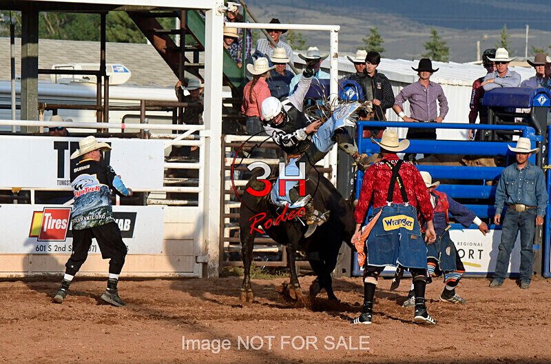 Brody Hasenack_3HR1062_LJD - Mr. T Xtreme Bull Riding