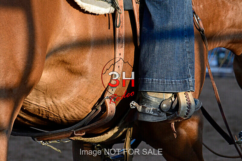 3HRodeo7-12-24_LJD_3HR3704_LJD - PRCA Rodeo - July 12, 2024