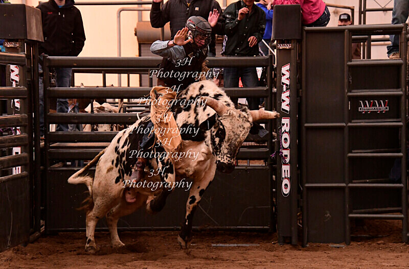 _DSC5216 - 2021 Flying B Youth Bull Riding Series Finals