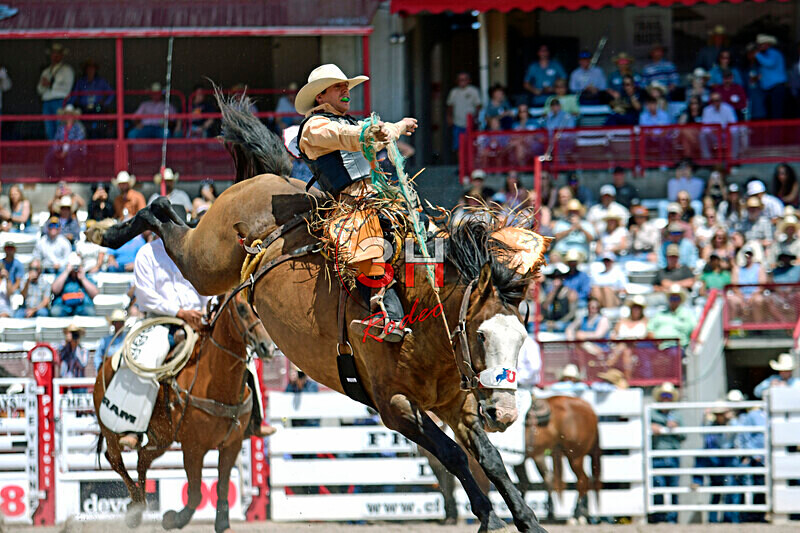 3HRodeo7-19-25_CFD_03167_ - July 19th Rodeo Performance