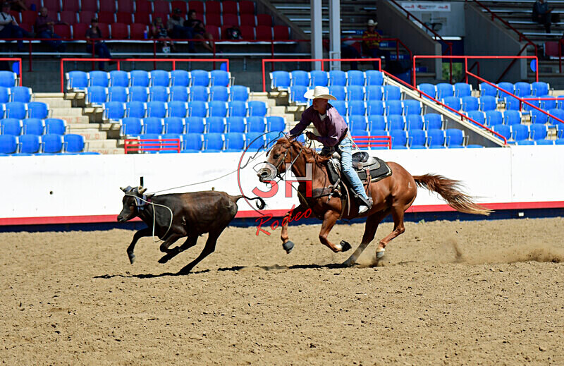 3HRodeo8-11-25_PRCASteer_03085_ - 2025 Colorado Stand Alone Steer Roping-Greeley