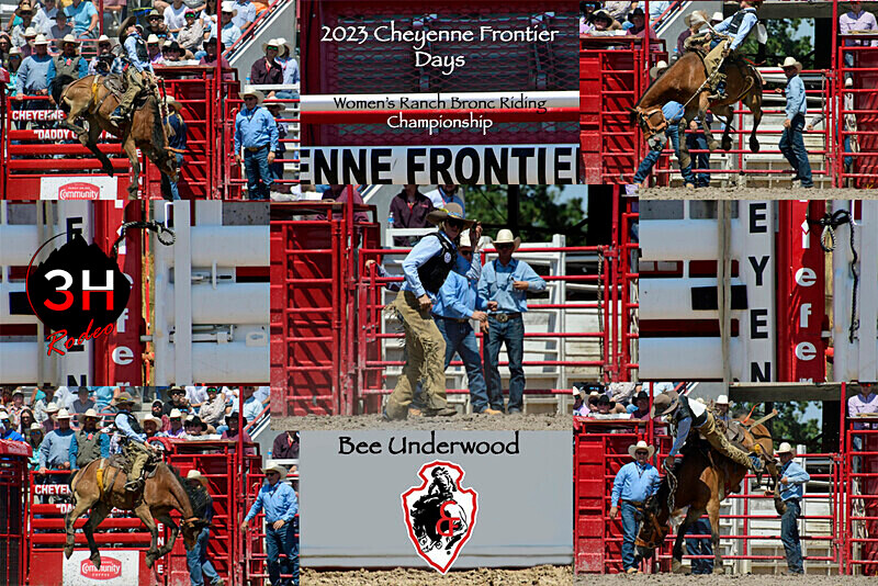 Bee Underwood Chute Gate Collage - Rodeo Images as Artwork Pieces