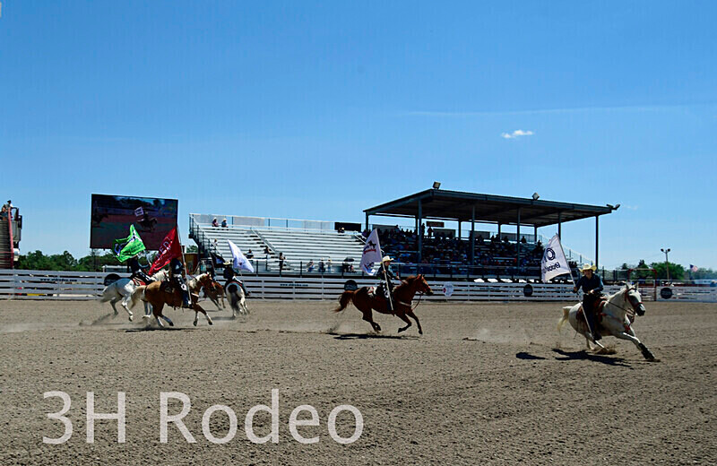 _DSC4654 - CFD Rodeo Performance - July 22nd