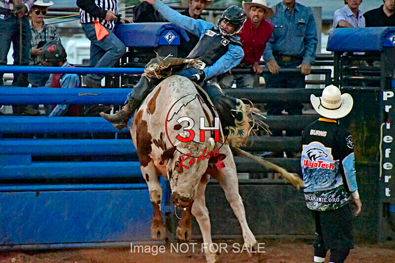 3HRodeo7-11-24_LJD_3HR2779_LJD - Mr. T Xtreme Bull Riding