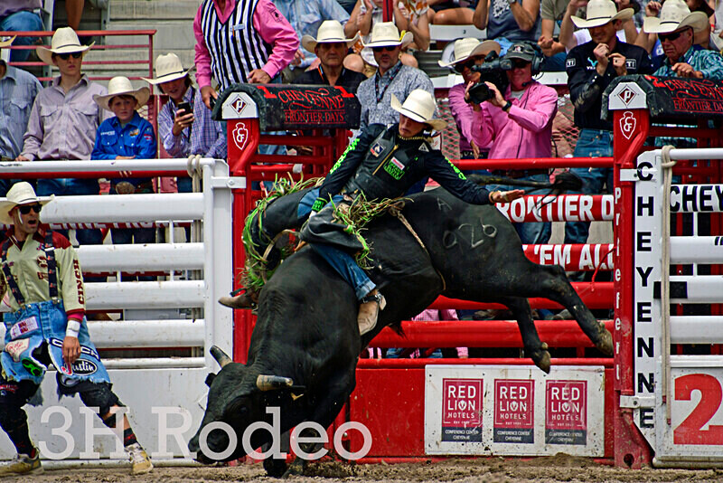 _DSC4056 - CFD Rodeo Performance - July 28th