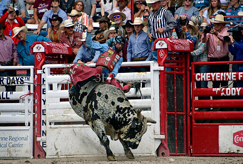 JoshFrost_0369 - CFD Rodeo Performance - July 29th