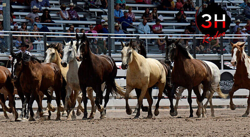 _DSC6678 - 2022 Cheyenne Frontier Days