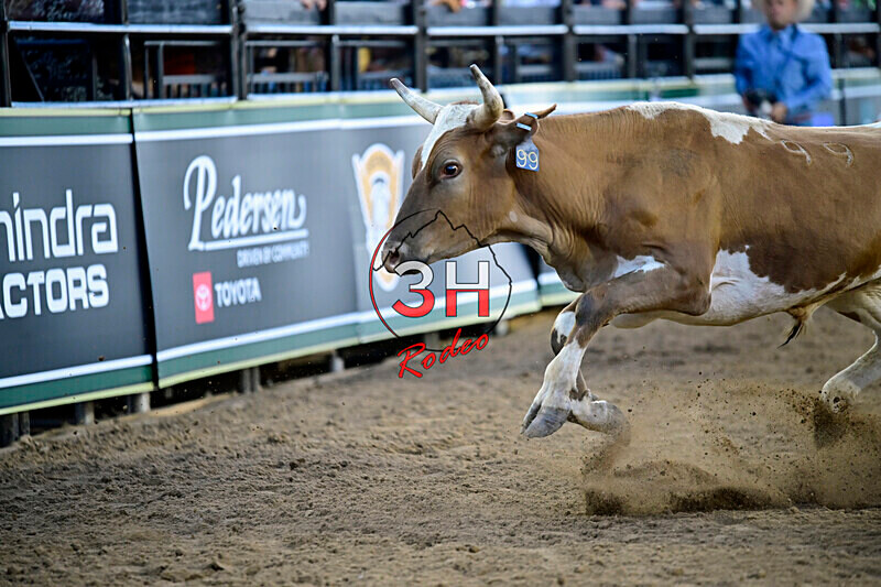 3HRodeo_PBR_All-Star_JUL_2026_0372 - 2026 All-Star College Rodeo