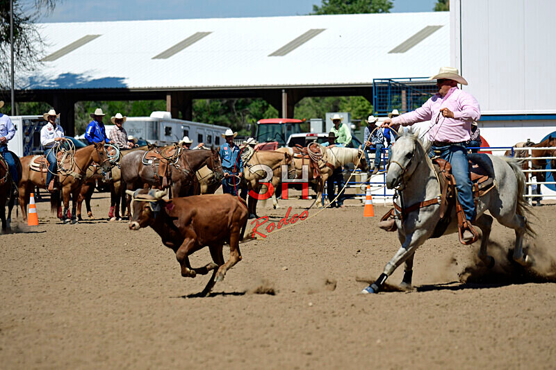 3HRodeo8-11-25_PRCASteer_07957_CTownsend - 2025 Colorado Stand Alone Steer Roping-Greeley