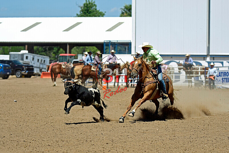 3HRodeo8-11-25_PRCASteer_06365_ - 2025 Colorado Stand Alone Steer Roping-Greeley