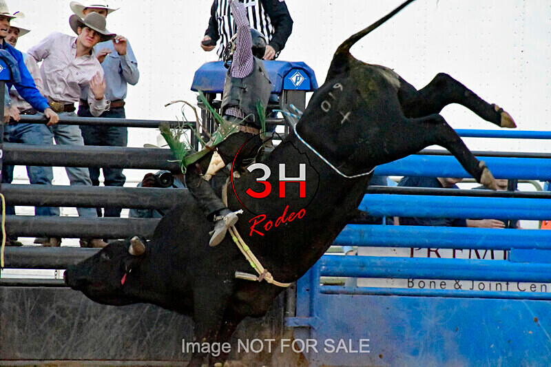 3HRodeo7-11-24_LJD_3HR2125_LJD - Mr. T Xtreme Bull Riding