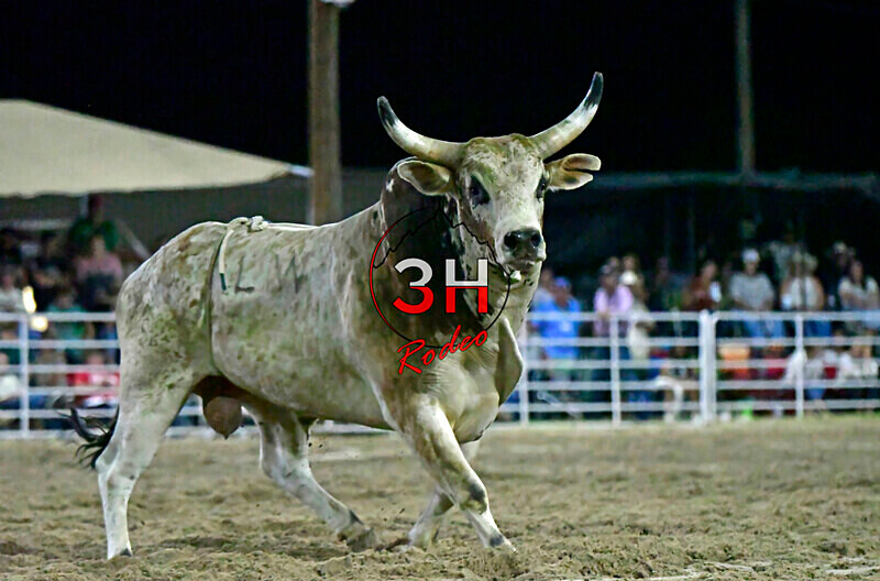 3HRodeo8-5-24_CFD_3HR-YUMA- 6164_ - AUG 5th Rodeo Performance