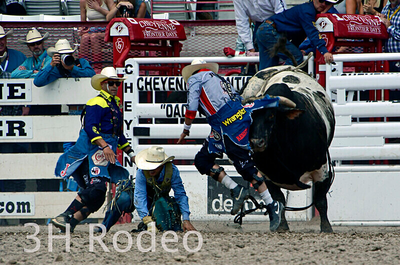 _DSC1704 - CFD Rodeo Performance - July 22nd